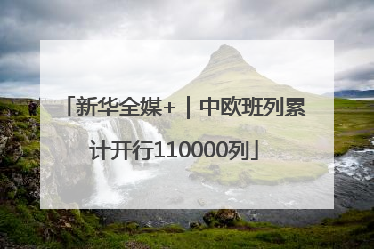 新华全媒+｜中欧班列累计开行110000列
